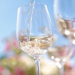 Sauvignon Blanc aus der Pfalz Sauvignon Blanc aus der Pfalz
